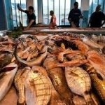 Mercato del pesce