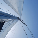 dsc_1666.jpg