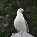 new_dsc_0889.jpg