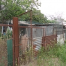 lager_di_cani_a_via_mongolfiera.jpg