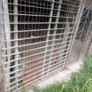 lager_di_cani_a_via_mongolfiera_5_1.jpg