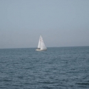 img_4740.jpg