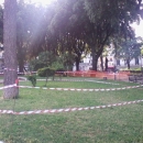 alberi_a_napoli_dopo_la_tempesta3_piazza_salvatore_di_giacomo.jpg