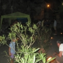 img_4972.jpg