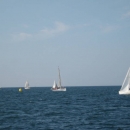 img_5115.jpg