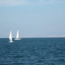 img_5119.jpg