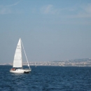 img_5137.jpg