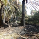 villa_comunale_anno_zero_casina_del_boschetto_incendio_di_ieri_resti.jpg