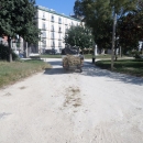 villa_comunale_anno_zero_cumuli_di_fogliame_per_strada_il_camincino_comunale_perde_materiale.jpg