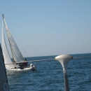 img_5339.jpg