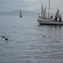 img_5417.jpg