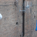 l_eroico_operatore_ecologico_alle_rampe_paggeriaecco_come_si_trovava_l_altro_giorno.jpg