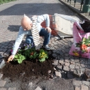 buche_in_fiore_ponte_della_maddalena_7.jpg