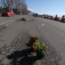 buche_in_fiore_via_caracciolo.jpg
