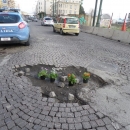 buche_in_fiore_via_marina.jpg
