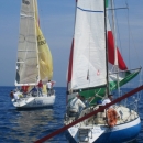 img_2879.jpg
