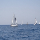 regata_delle_torri_sracene_333.jpg