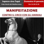 109_images_11.jpeg