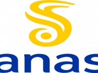 150_anas.jpg