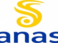 167_anas.jpg