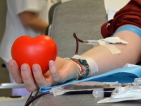 1_croce_rossa_donare_sangue.jpg