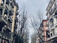 1_vomero_via_luca_giordano_alberi_da_potare.jpg