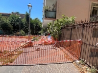 1_vomero_via_scarlatti_albero_caduto.jpg