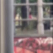 31_download_15.jpeg