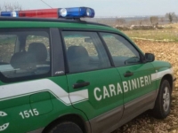 5_carabinieri_forestali.jpg