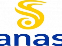 63_anas_1.jpg