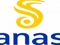 64_anas_1.jpg