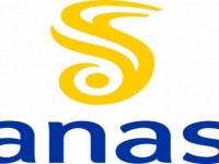66_anas_1.jpg