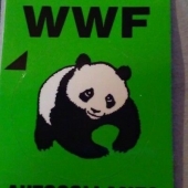 adesivo_vintage_sticker_kleber_wwf_panda_autocollants_1.jpg