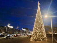 albero_piazzagribaldi.jpg