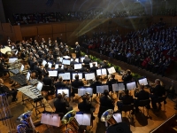 banda_am_profilo_02.jpg