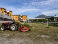 campetto_boscoreale_3.jpg