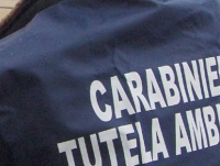 carabinieri_noe.jpg