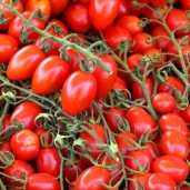 ciliegino_e_datterino_696x601.jpg