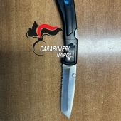 coltello_pollena_30042025.jpg