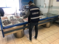 controllipescaguardiacostiera_1.jpeg