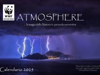 copertina_trk.jpg