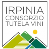 logo_5_1.png