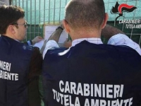napoli_1_1.jpg