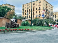 napoli_piazza_degli_artisti_le_due_palme_uccise_dal_punteruolo_rosso.jpg