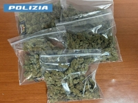 nuovo_logo_foto_11.jpg