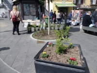 piazza_carolina_dopo_l_intervento.jpg
