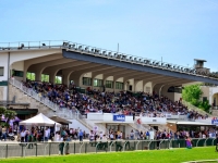 tribune.jpg