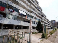 velagialla.jpg