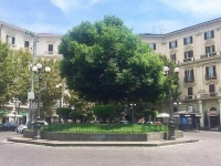 vomero_piazza_vanvitelli_sovente_teatro_di_scontri_tra_baby_gang.jpg
