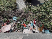 vomero_via_aniello_falcone_giardini_nino_taranto1.jpg